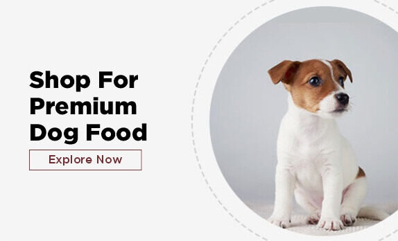 DogBanner