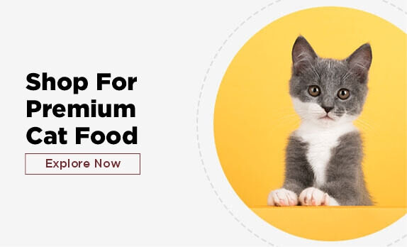 CatBanner