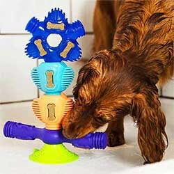 DOG TOYS