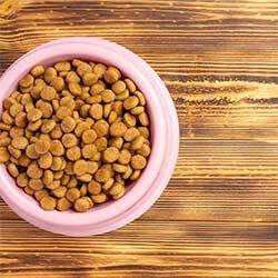 DOG FOOD