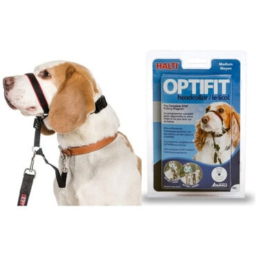 Company of Animals Oftifit Head Collar M