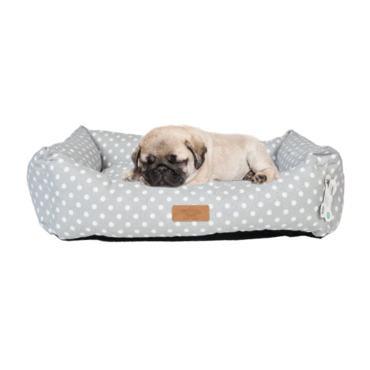 Pets.Love.Earth Macaron Series Grey S