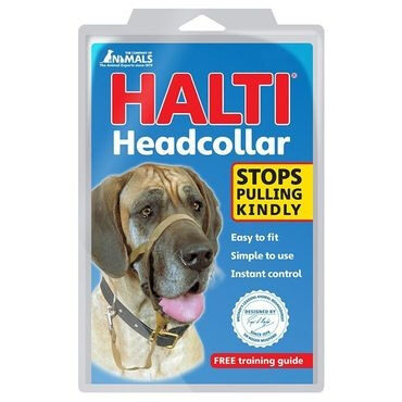 The Company of Animals Halti Head Collar